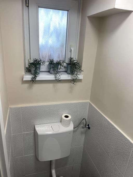 Apartment In Maribor